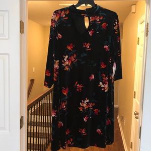 Dress or long shirt.